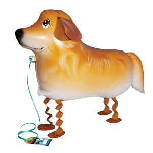 Airwalker Golden Retriever
