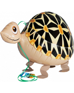 Airwalker Schildkröte Mit Helium