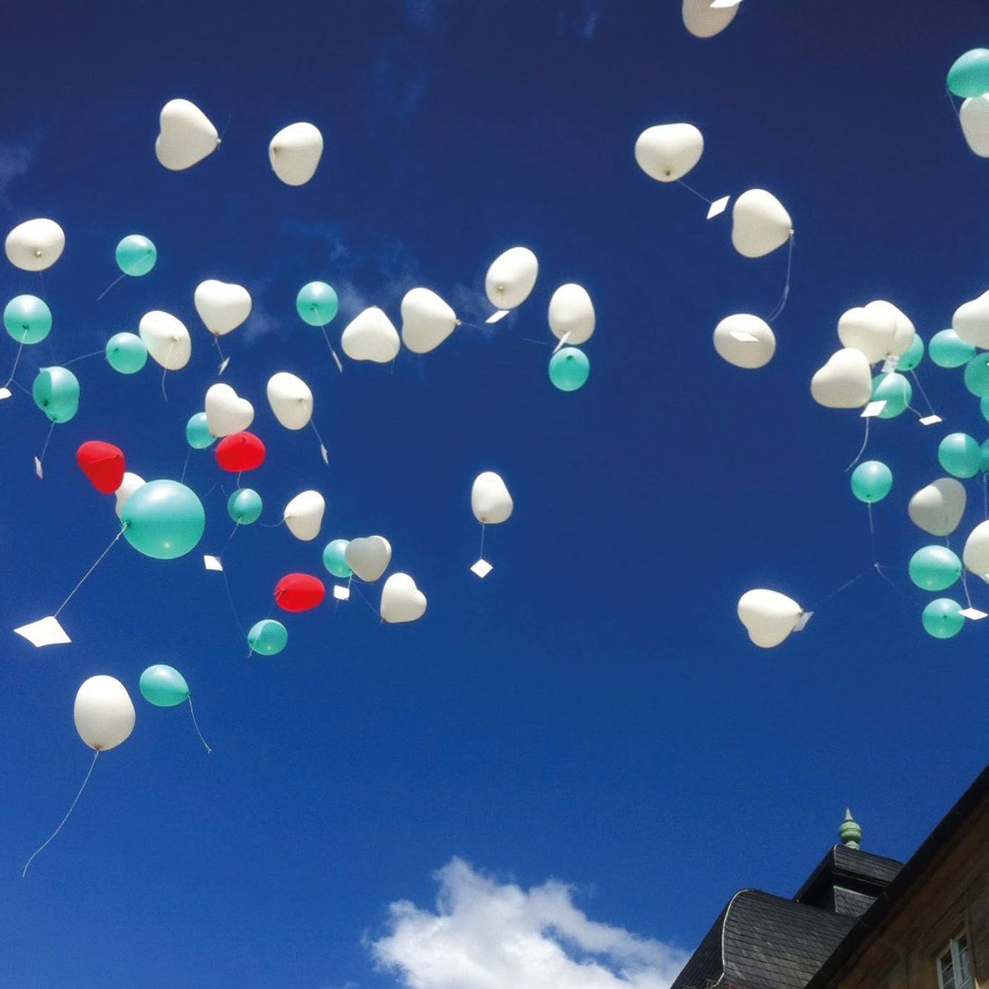 Bunte Latexballons in vielen Farben hängen unter einer Decke, alle mit Schnüren versehen-3