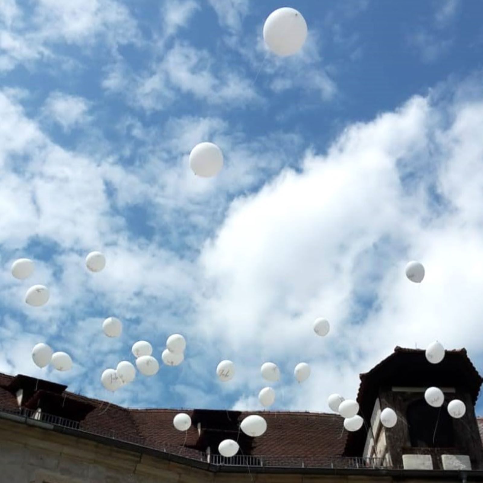 Bunte Latexballons in vielen Farben hängen unter einer Decke, alle mit Schnüren versehen-4