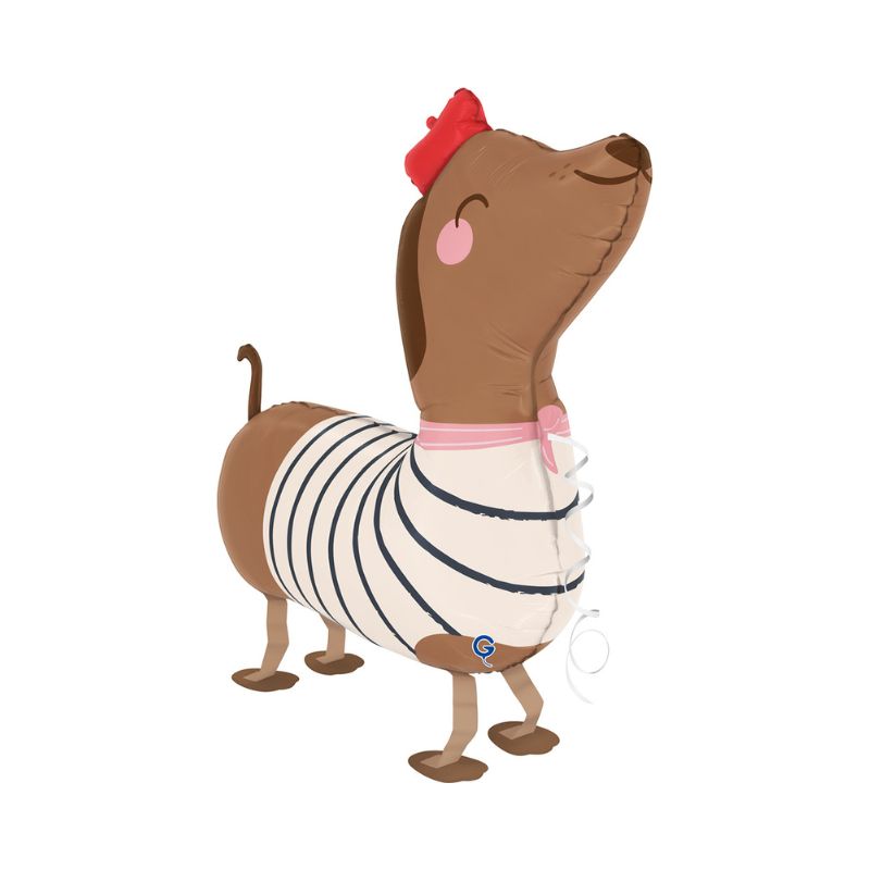 Airwalker Dachshund Mit Helium