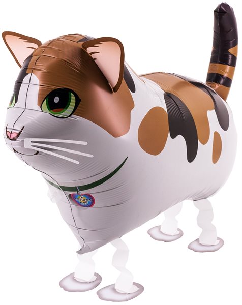 Airwalker Katze braun weiß
